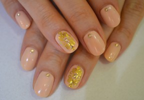 ¥6,000 Shellac